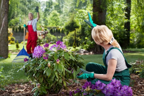 Logo or representative image for Lawn Mowing Yiewsley policy header