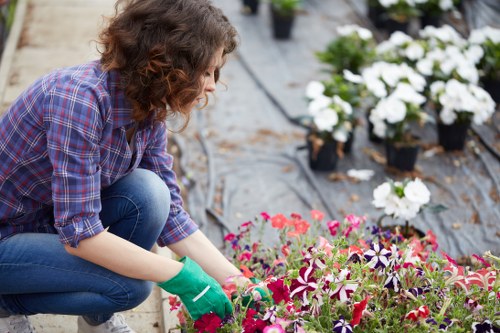 Professional garden clearance services in Yiewsley