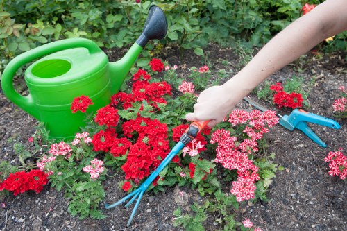 Electric lawn mower and technician in a suburban Yiewsley garden