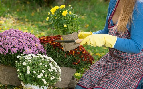 Why choose Lawn Mowing Yiewsley