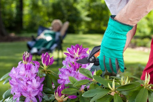 Beautiful manicured garden lawn