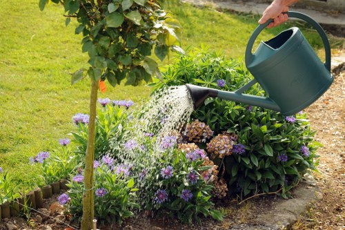 Cost-effective garden clearance in Yiewsley
