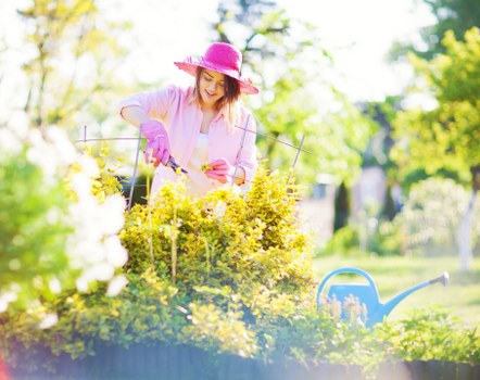 Various lawn care services offered