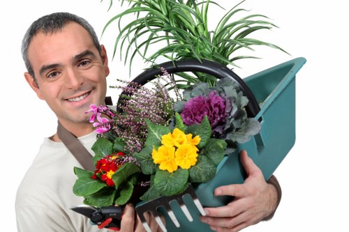 Professional gardener trimming a hedge