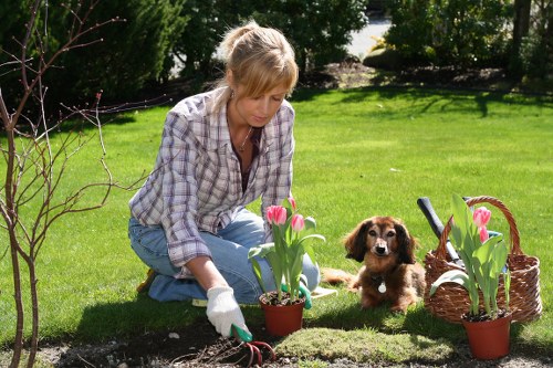 Healthy plants and flowers in a well-maintained Yiewsley garden