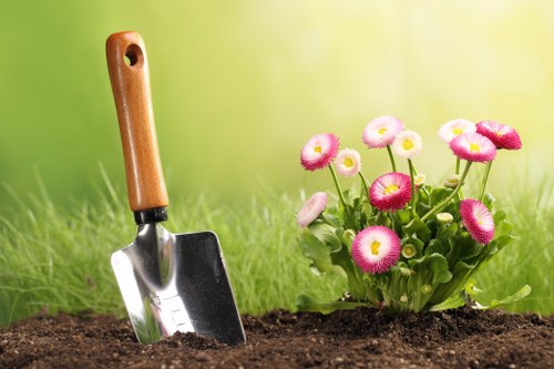 Healthy landscape after tree maintenance